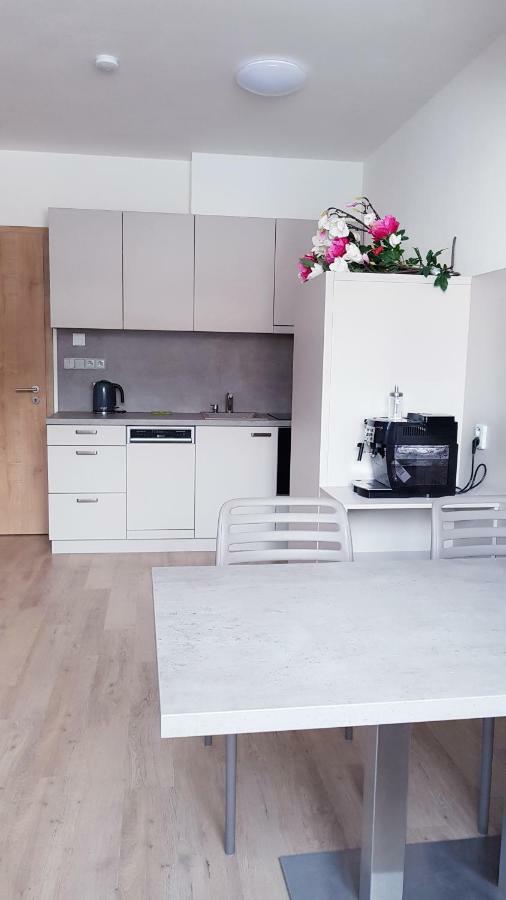 Apartmany Dolní Morava Εξωτερικό φωτογραφία